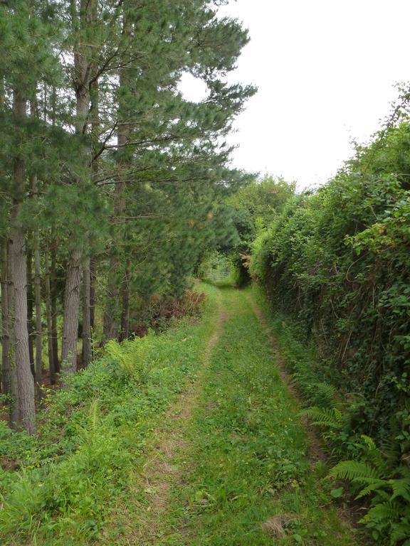 Viviendas Rurales Aldea De Dosamantes Pesaguero-La Parte Kültér fotó